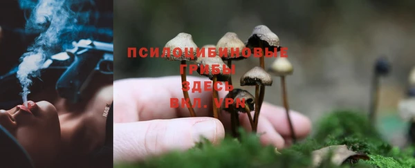 кокаин Арсеньев
