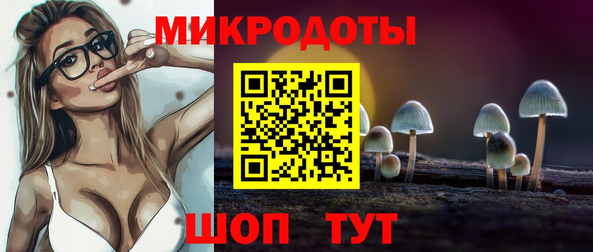 Лениногорск  Галлюциногенные грибы Psilocybine cubensis  Вход с VPN  Псилоцибиновые грибы Psilocybe 