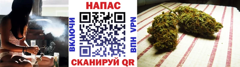 где купить наркоту  Лениногорск  Каннабис ГИДРОПОН 